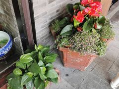 -印象江南(东栅店)