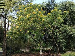 -晓港公园