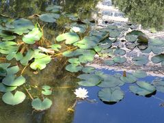 -中共上海市委党校 上海行政学院