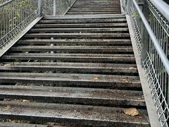 -佛山华盖山公园
