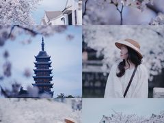 -常熟方塔园