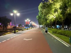 -武汉两江游览·夜游长江(汉口粤汉码头)