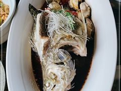 -瓦库茶馆17号(海汇港店)
