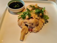 林地散养白切鸡-壹只菜·崇明本地特色菜(崇明南门店)