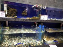 -船歌鱼水饺(高新园区店)