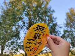 -北坞公园