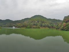 -广州白江湖森林公园