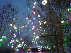 -南宫五洲植物乐园