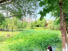 -沐仙湖湿地公园