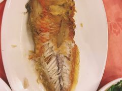 -深运潮州粥(东门店)
