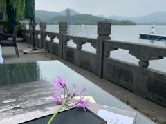 -杭州西湖柳莺里酒店·闻莺厅