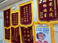 -美联众合爱康动物医院•复杂内科•肿瘤科•牙科•腔镜诊疗中心