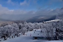 -大秃顶子山