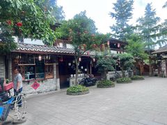 -青城甲(青城山店)