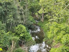 -野象谷景区