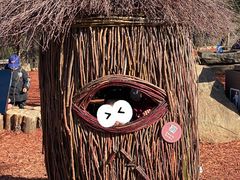 -北京西山国家森林公园