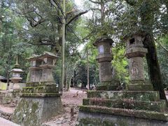 -奈良公园