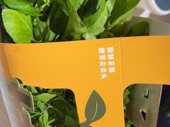 -千牛将·鲜牛肉火锅(开元路店)