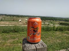 -汉长安城未央宫国家考古遗址公园