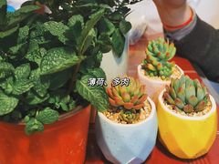 -武汉花鸟市场