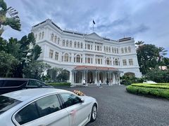 -Long Bar(莱佛士酒店)