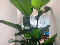 -Peet's Coffee皮爷咖啡(上海长风大悦城店)