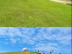 -大姆山草场