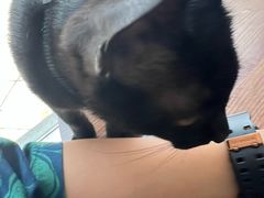 -宠颐生宠物医院·犬猫全科·皮肤科(商业街店)