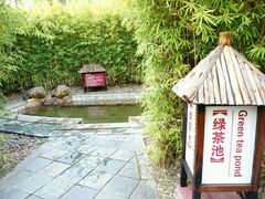 -森波拉火山温泉