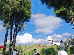 -长虫山生态公园风景林