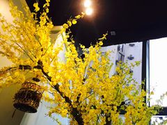-一笼小幸运