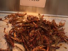 -川骄海鲜自助(亚运村店)