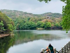 -白马涧龙池景区