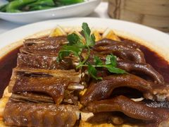 -点都德·毕德寮