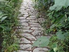 -红楼梦邮局