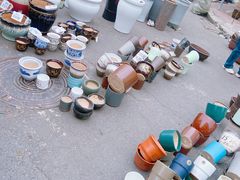 -哈尔滨道外花鸟鱼市场