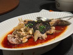 -三利音·浦之舟(滨江大道店)