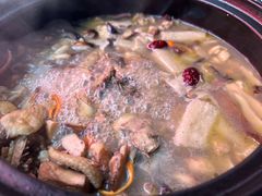 -蘑统田下·野生菌火锅