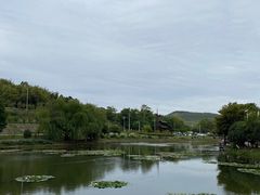 -石塘人家