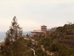 -象山森林公园
