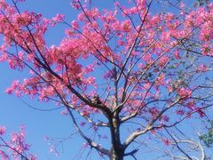 -碧桂园十里银滩