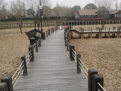 -苏州太湖湖滨国家湿地公园