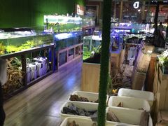 -三圣花乡旅游区