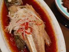 -清真·老兰家(兴善寺西街总店)