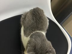 -宠颐生宠物医院外科·内科·皮肤科·影像科(石龙店)