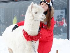 -长白山万达国际滑雪场