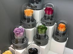 -ROSEONLY诺誓(广州K11店)
