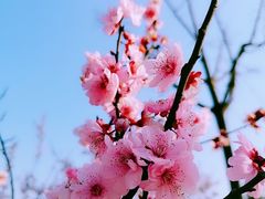 -白塘生态植物园