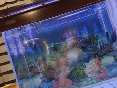 -破瓦寒窑·地摊烤羊排