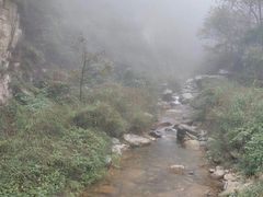 -终南山国家森林公园